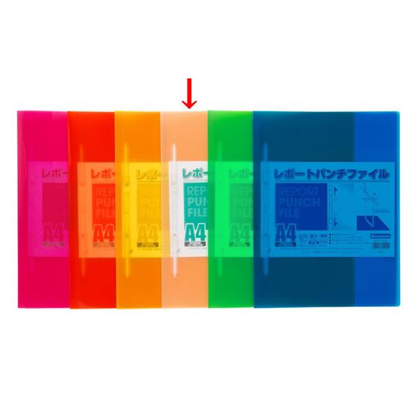 r[g |[gp`t@C A4^e 100e N[ t@Xi[ v[e[Vpt@C