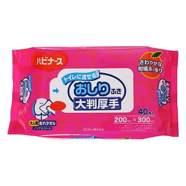 sW gCɗ邨ӂ唻 40 ӂ rPA  
