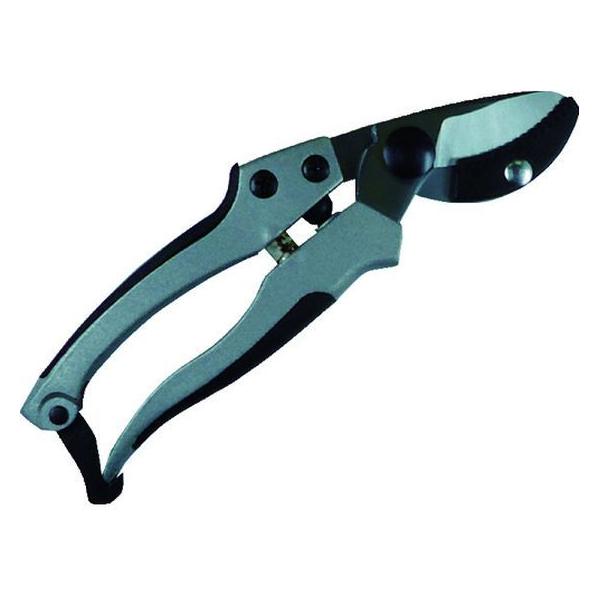 y񂹁zDAISHIN EG A~_CLXg Ar^ 502136 nT~ _ _Ǝ |pi Ɨpi H