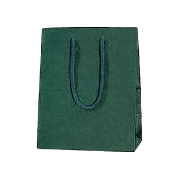 �y�����񂹁z�w�C�R�[ �J���[�`���[���o�b�O �O���[�� 20-12(200×250×120mm)10�� ������ �ەR ���� ���b�s���O �