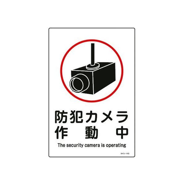 y񂹁zΏ\ CXgW hƃJ쓮 Gr SW XebJ[  S 