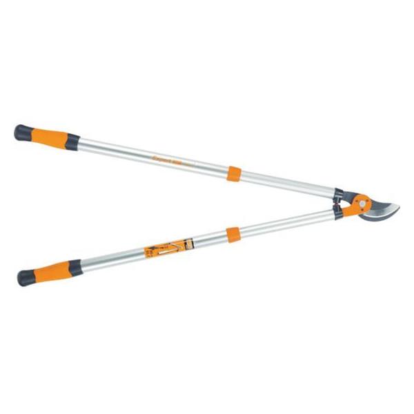 y񂹁zo[R Lk^΂ PG-19-F nT~ _ _Ǝ |pi Ɨpi H