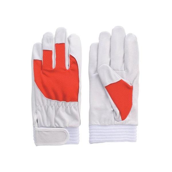 y񂹁zxmO[u ؖ{v F-505 AX[g bhM 5879 ؊v v  ot Ɨp