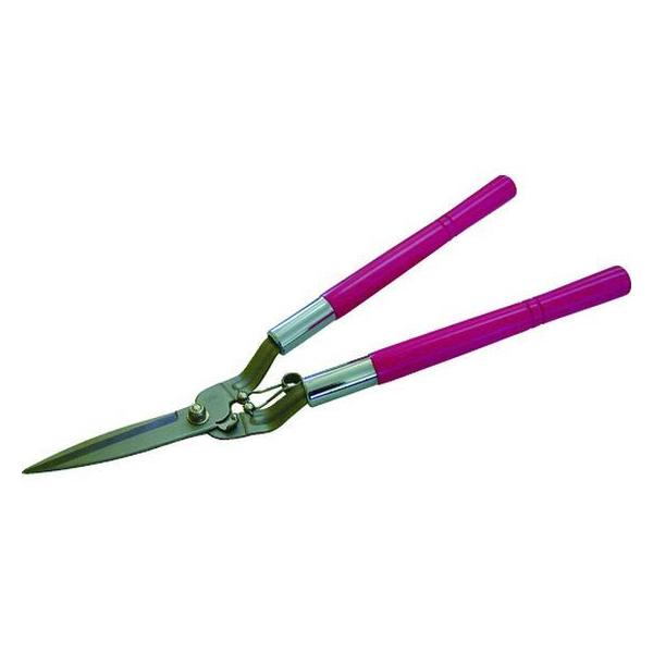 y񂹁zhEJ K[f΂[ 0127 nT~ _ _Ǝ |pi Ɨpi H