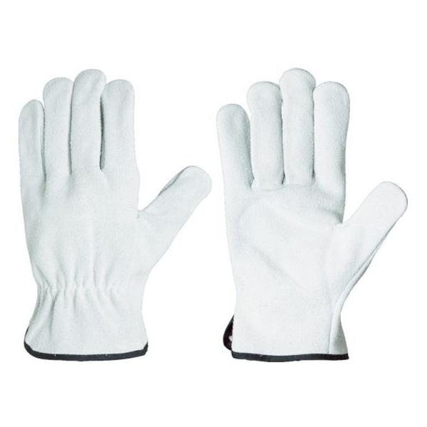 y񂹁zV {v CG720 CG720 v v  ot Ɨp