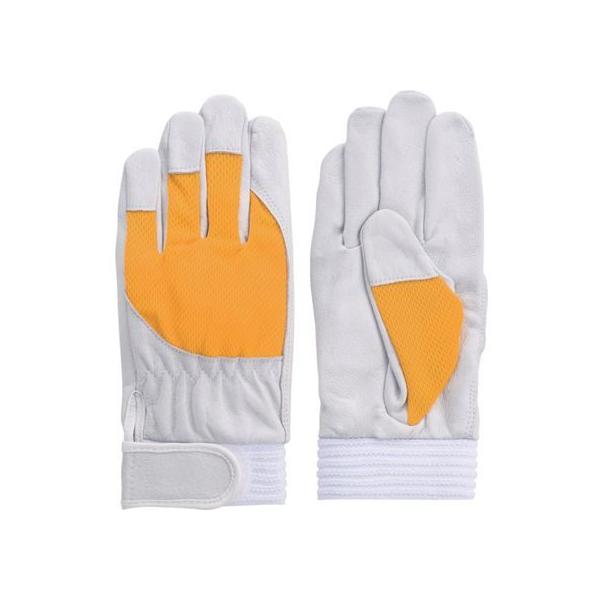 y񂹁zxmO[u ؖ{v F-505 AX[g CG[S 5882 ؊v v  ot Ɨp