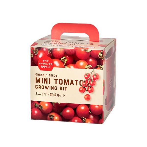 初期ピカチュウ ハンドメイド（トマト）ヘタ濃いめ 初期