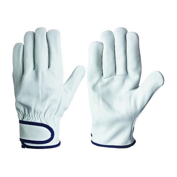 y񂹁zV {v CG[725 L CG-725 L v v  ot Ɨp