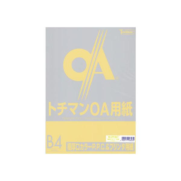 SAKAEeNjJy[p[ ɌJ[PPC B4 CG[ 50 aSTCY CG[n  J[Rs[p