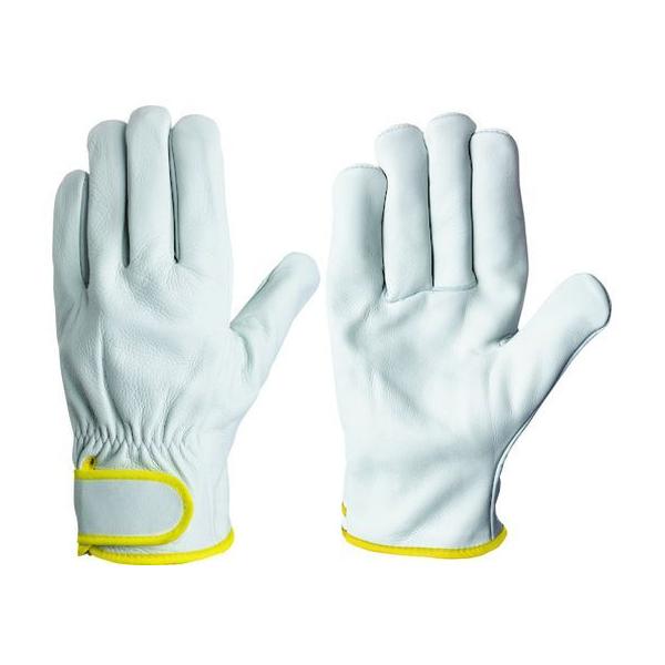 y񂹁zV {v CG[725 LL CG-725 LL v v  ot Ɨp