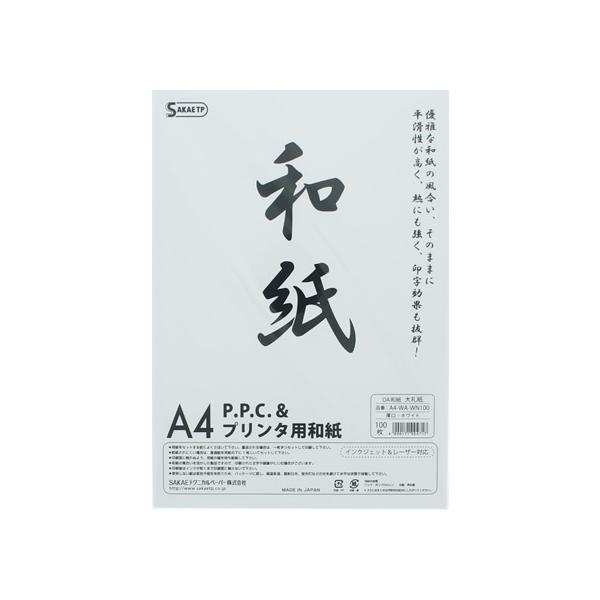 SAKAEeNjJy[p[ OAa 玆  A4  100 a^Cv Rs[p