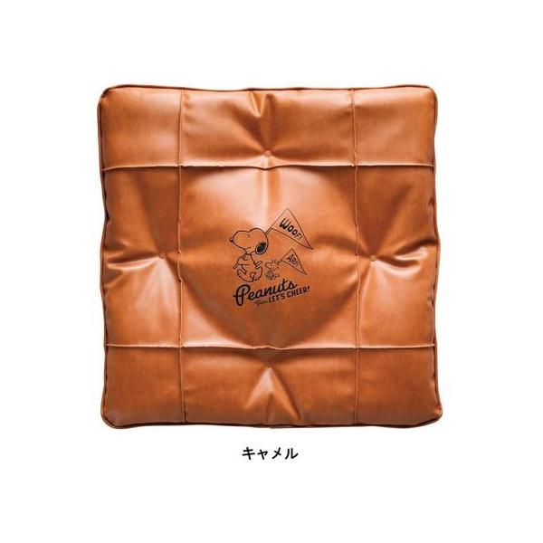 y񂹁z{tH[ Xk[s[`A2 45×45cm (ȓp) CA 5711-06CA