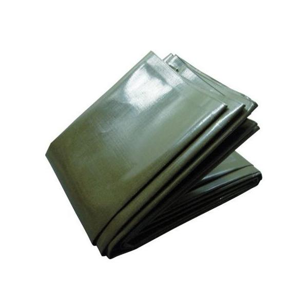 y񂹁zTRUSCO 10NV[g 3.6m×5.4m TUV13000-3654 tuV[g  S 