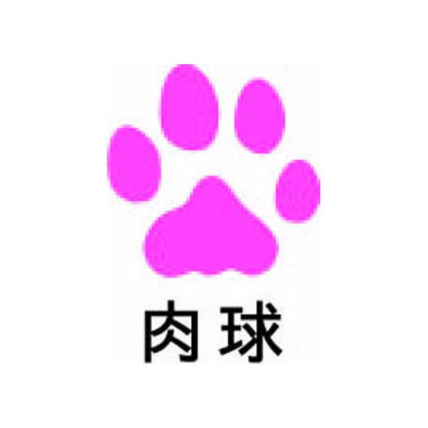 pCbg tNVX^v  sN SPF-12-48P X^v^Cv fR[VX^v X^v l[