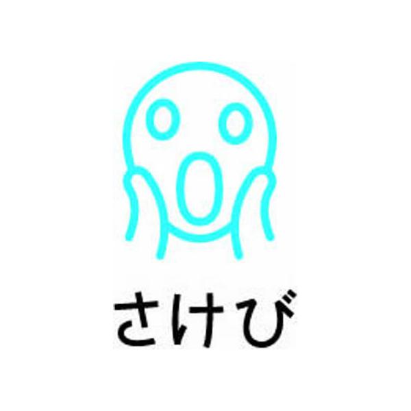 pCbg tNVX^v  Cgu[ SPF-12-53LB X^v^Cv fR[VX^v X^v l[