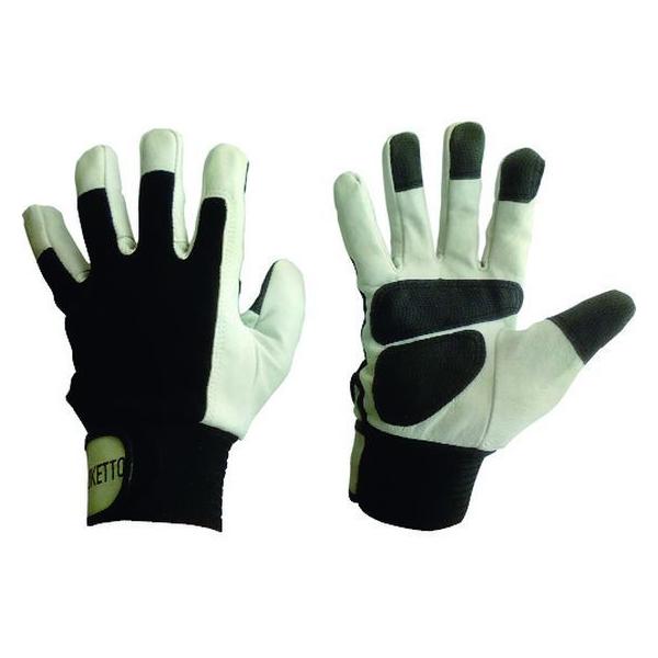 y񂹁zxm ؖ{v gNObv M 664-M ؊v v  ot Ɨp