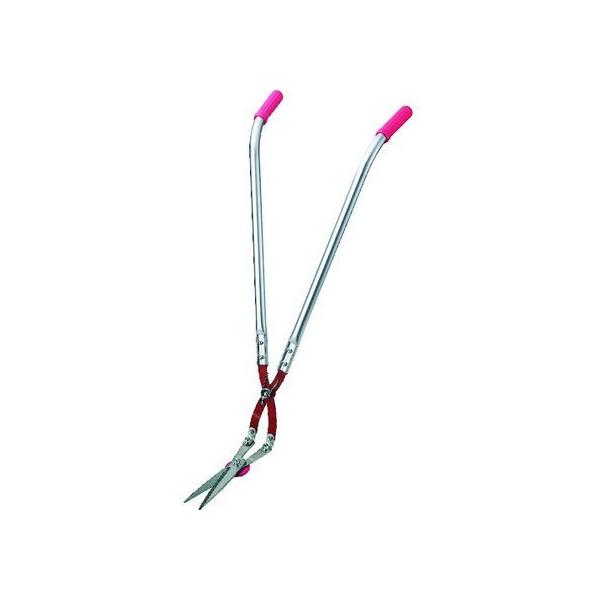 y񂹁zhEJ nT~  0130 nT~ _ _Ǝ |pi Ɨpi H 