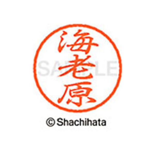 y񂹁zV`n^ ubN8 XL-8(CV) XL-8-0447 G ubNW As l[ aW X^v