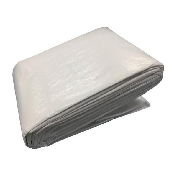 y񂹁z^JCN 3000 zCgV[g 10m×10m WHS-18 J[V[g  S 