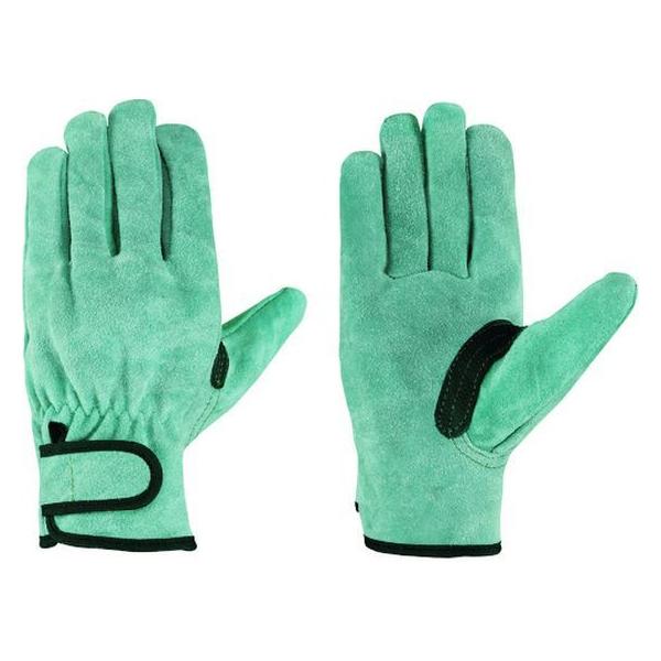 y񂹁zV vICHܗnt OIL-719 OIL-719 v v  ot Ɨp