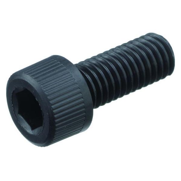 y񂹁zTRUSCO KX@ۋ|A~hMXD6 RENY Zpt{g M4×6 50{ BRENY-BKCBM4X6 {g ˂ B f Ɨpi H