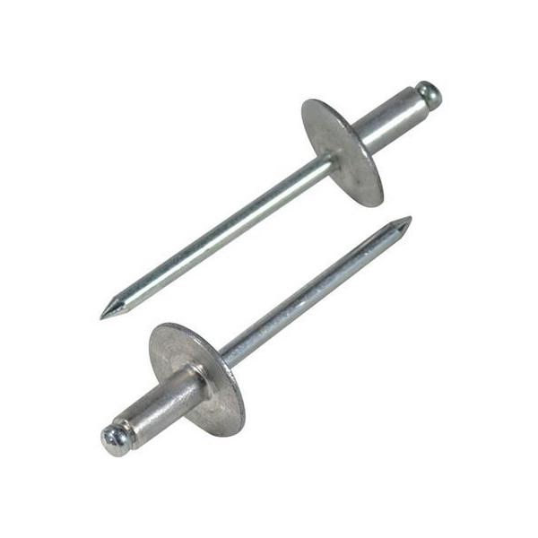 y񂹁zGr uChxbgE[WtW A~/XeB[6-5 (500{) NSA65LF {g ˂ B f Ɨpi H