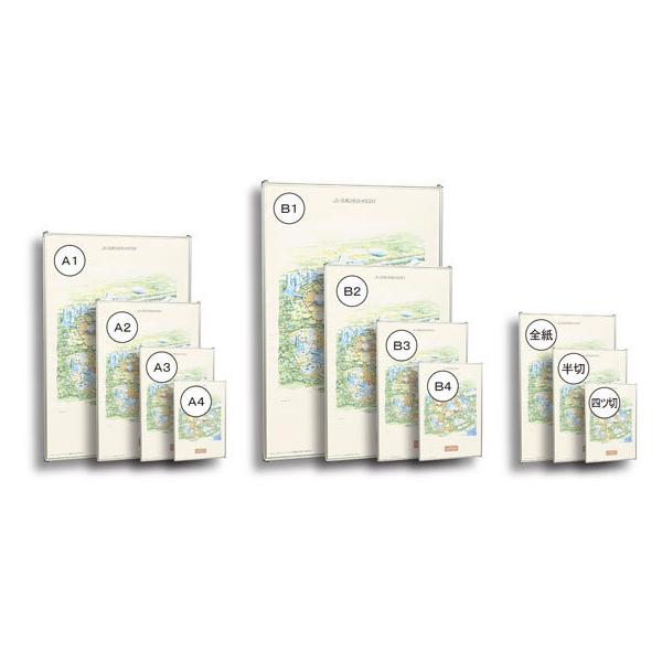 �y���[�J�[�����z�n�� �n�C�p�l�� B1�T�C�Y 743×1045mm QE-B1�y����s�z�|�X�^�[�t���[�� �|�X�^�[�p�l�� �a�P �|�b�v �݂艺�� �o�n�o �f��