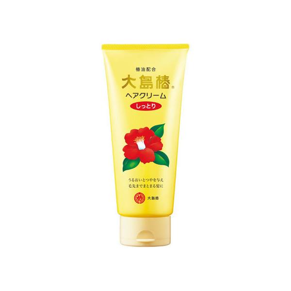 y񂹁z哇 wAN[ Ƃ 160g AEgoX Op g[gg wAPA