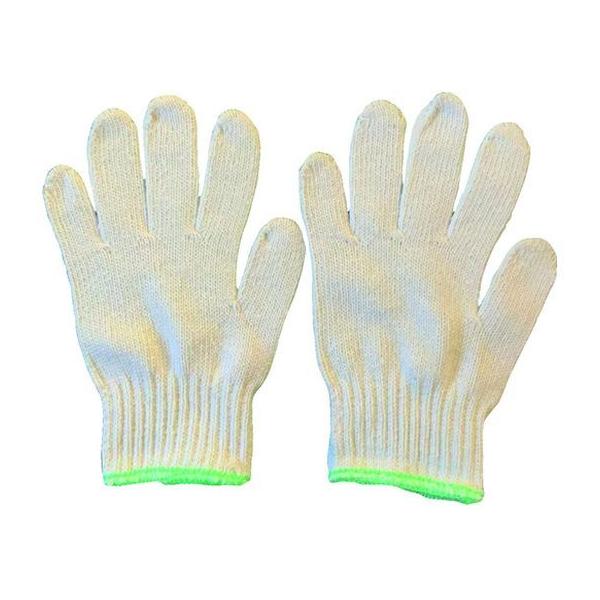 y񂹁z~^j ȍR E  202909 ȍ aR R w Ɨp