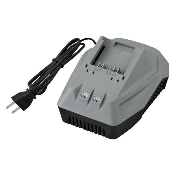 【お取り寄せ】アイリスオーヤマ DBL1820・DBL1840専用充電器 グレー DBLC18H