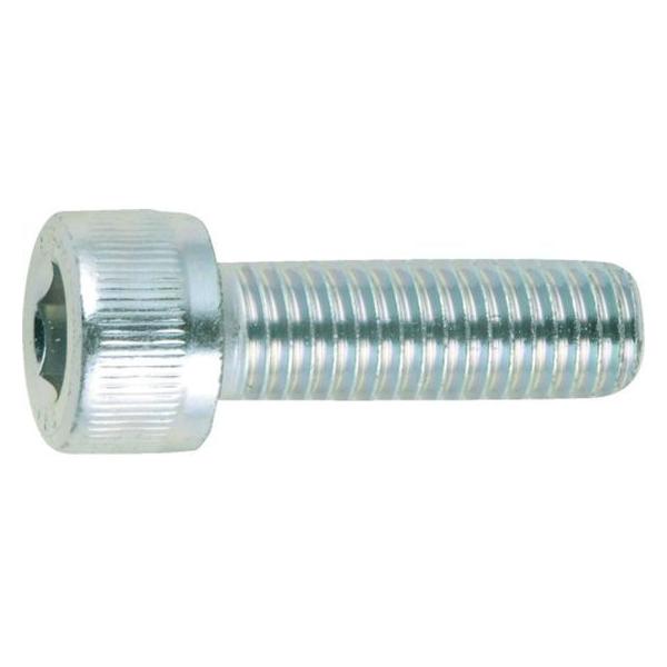 y񂹁zRmG Zpt{gOM10×20 (100{) CS-W-1020 {g ˂ B f Ɨpi H