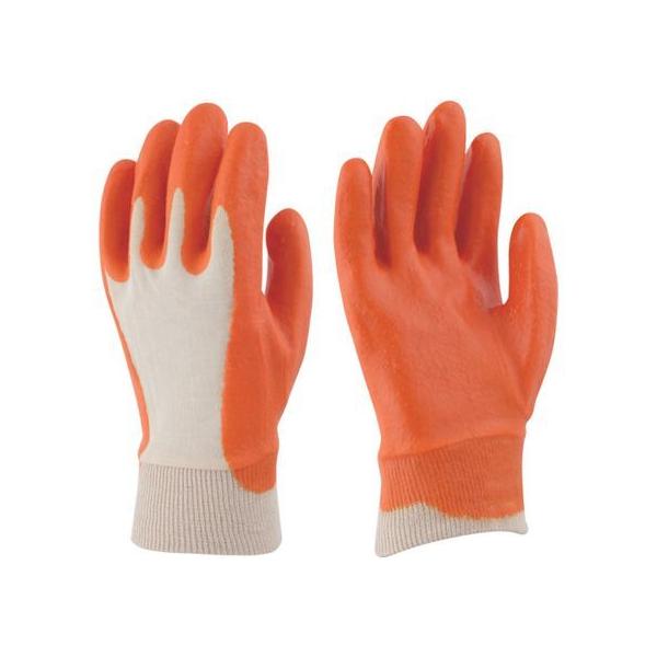 y񂹁zrjX^[ rj[w rjX^[G[X M 681-M w R Ɨp