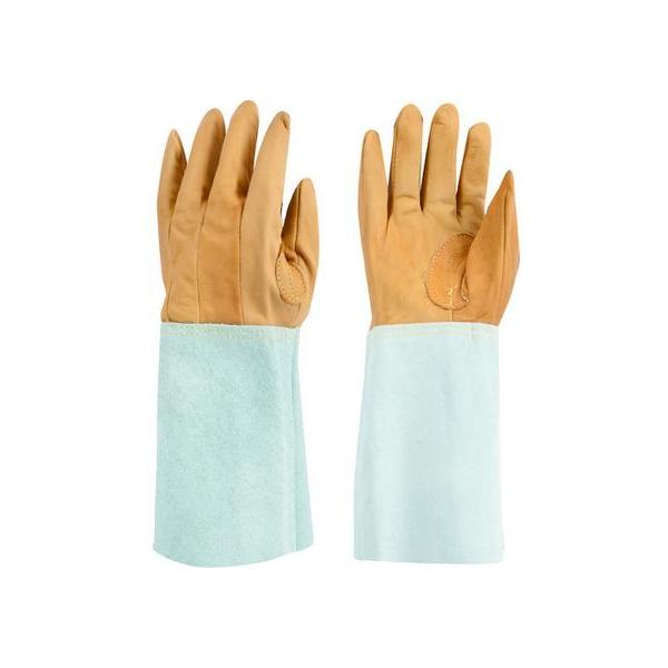 y񂹁zg nڗp \v5{w W-115 461 v v  ot Ɨp