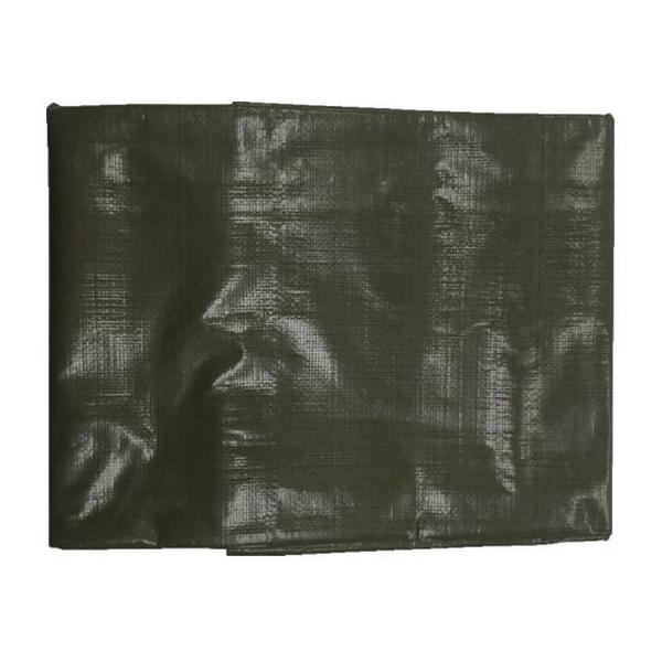 y񂹁z^JCN 4000 ODO[V[g 2.7m×3.6m OGS-405 J[V[g  S 