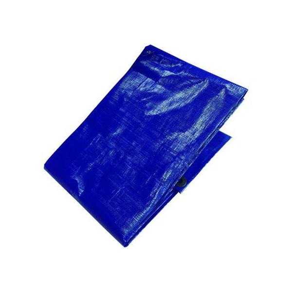 y񂹁z^JCN 3400 u[V[g 2.5m×3.4m BLH-05 {V[g u[V[g  S 