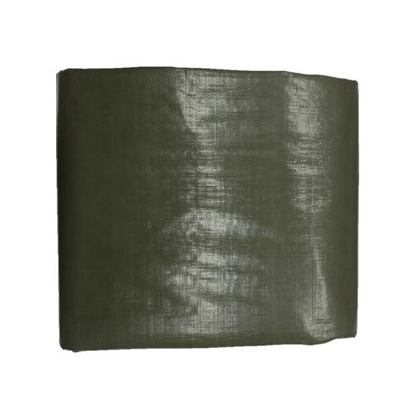 y񂹁z^JCN 4000 ODO[V[g 5.4m×5.4m OGS-413 J[V[g  S 