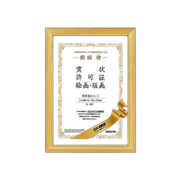 y񂹁zRN z VRqmL ܏B4 10 J-251 ܏z ܏~ \ LOT T 