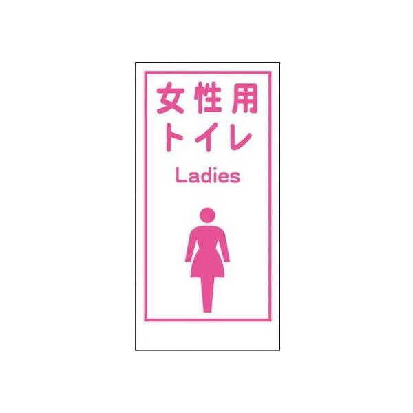 y񂹁zO[NX }KWLA-019 pgC Ladies SW XebJ[  S 