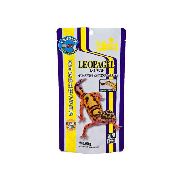 y񂹁zL[ IpQ 60g 520605 t[h  ybg ETM nX^[