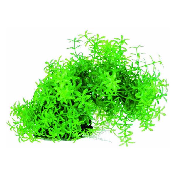 y񂹁zXyNguYWp eg tLVuvg FP-1 ObY Ϗ܋ ybg ANAE