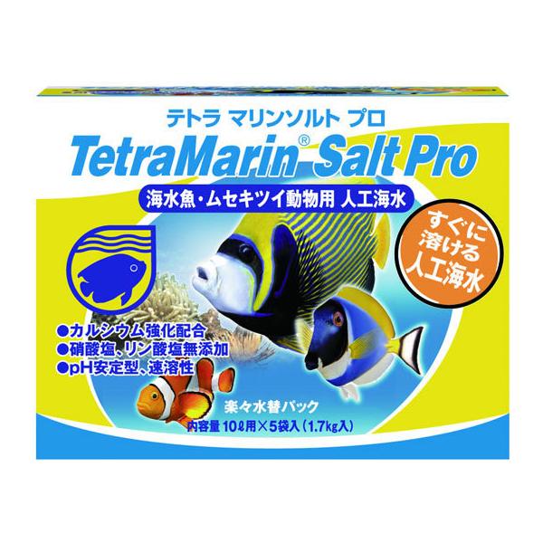 y񂹁zeg }\g v yXփpbN(10Lp×5ܓ) ObY Ϗ܋ ybg ANAE