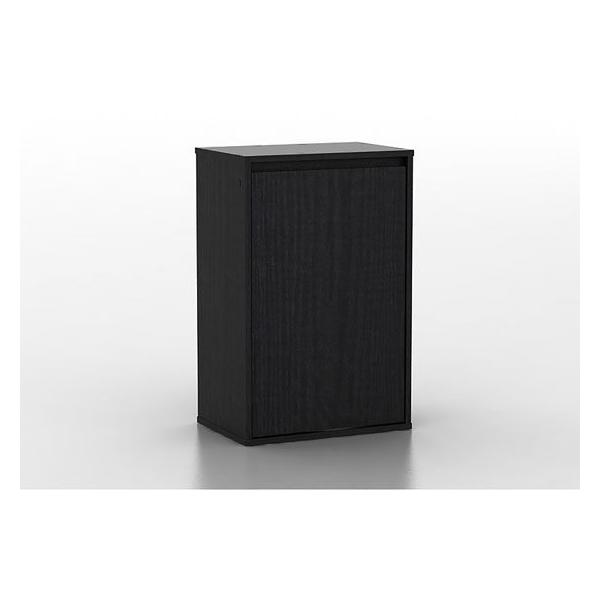 y񂹁zWFbNX ANAbN Ebh 450BK ObY Ϗ܋ ybg ANAE