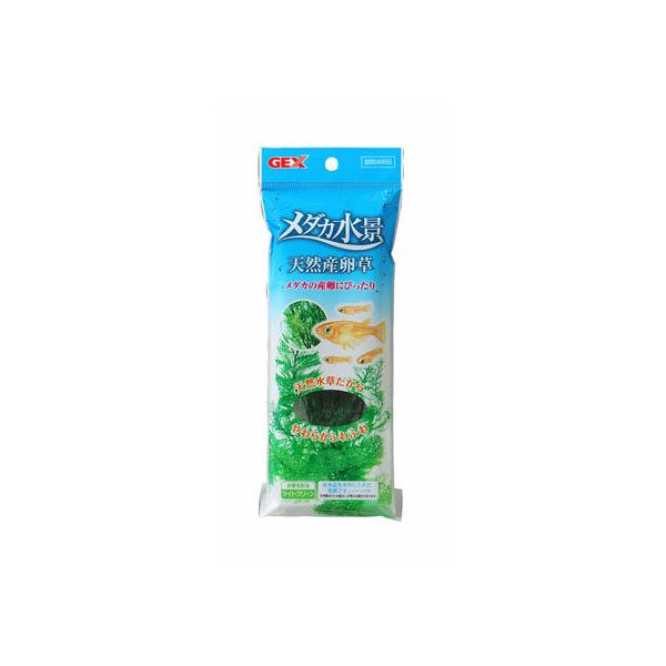 y񂹁zWFbNX _Ji VRY ObY Ϗ܋ ybg ANAE