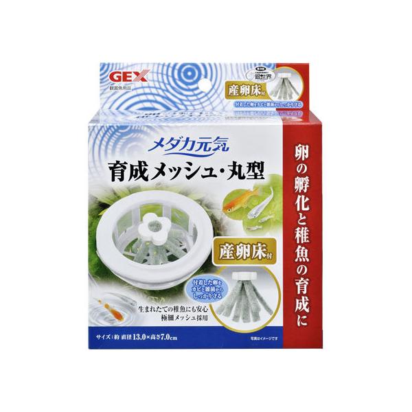 y񂹁zWFbNX _J琬 bV ی^Yt ObY Ϗ܋ ybg ANAE