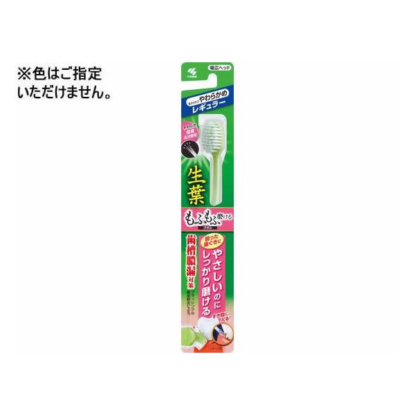 y񂹁zѐ t ӂӖuV M[ uV 炩 I[PA