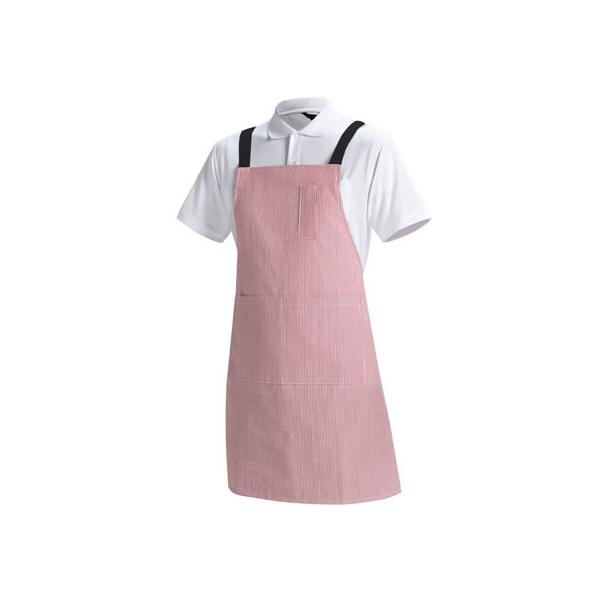 y񂹁zXgCvGv bh F CR600-16 ăGv Gv Ɨp jtH[