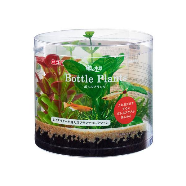 y񂹁zWFbNX i {gvc AkrAX ObY Ϗ܋ ybg ANAE