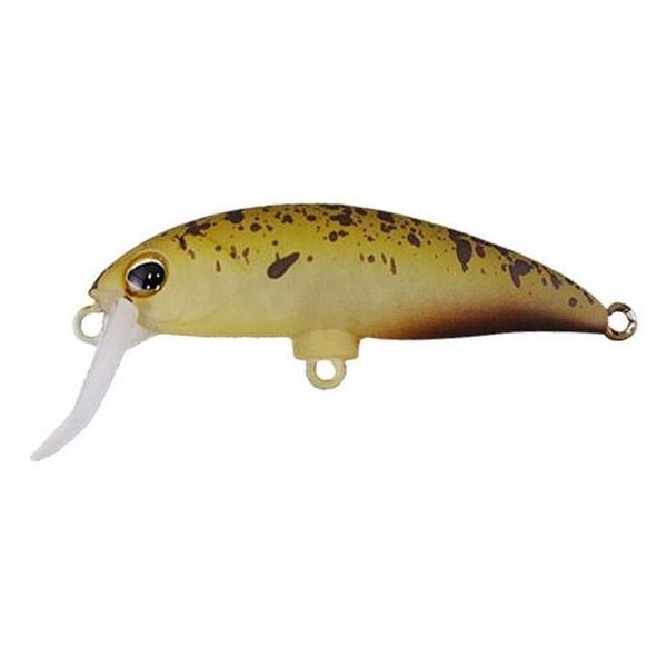 y񂹁zWbJ TM uu~m[(F) GhXPpvL gEg ~m[ A[ tbVEH[^[ ނ AEghA