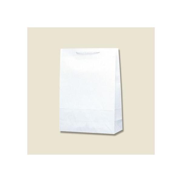 y񂹁zwCR[  T^`[obO 2 n 50 003130600  ەR  bsO 