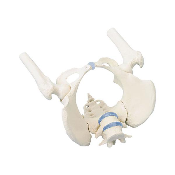 y񂹁zErler-Zimmer Ճf (ڍt) 4059 ͌^  Ō 